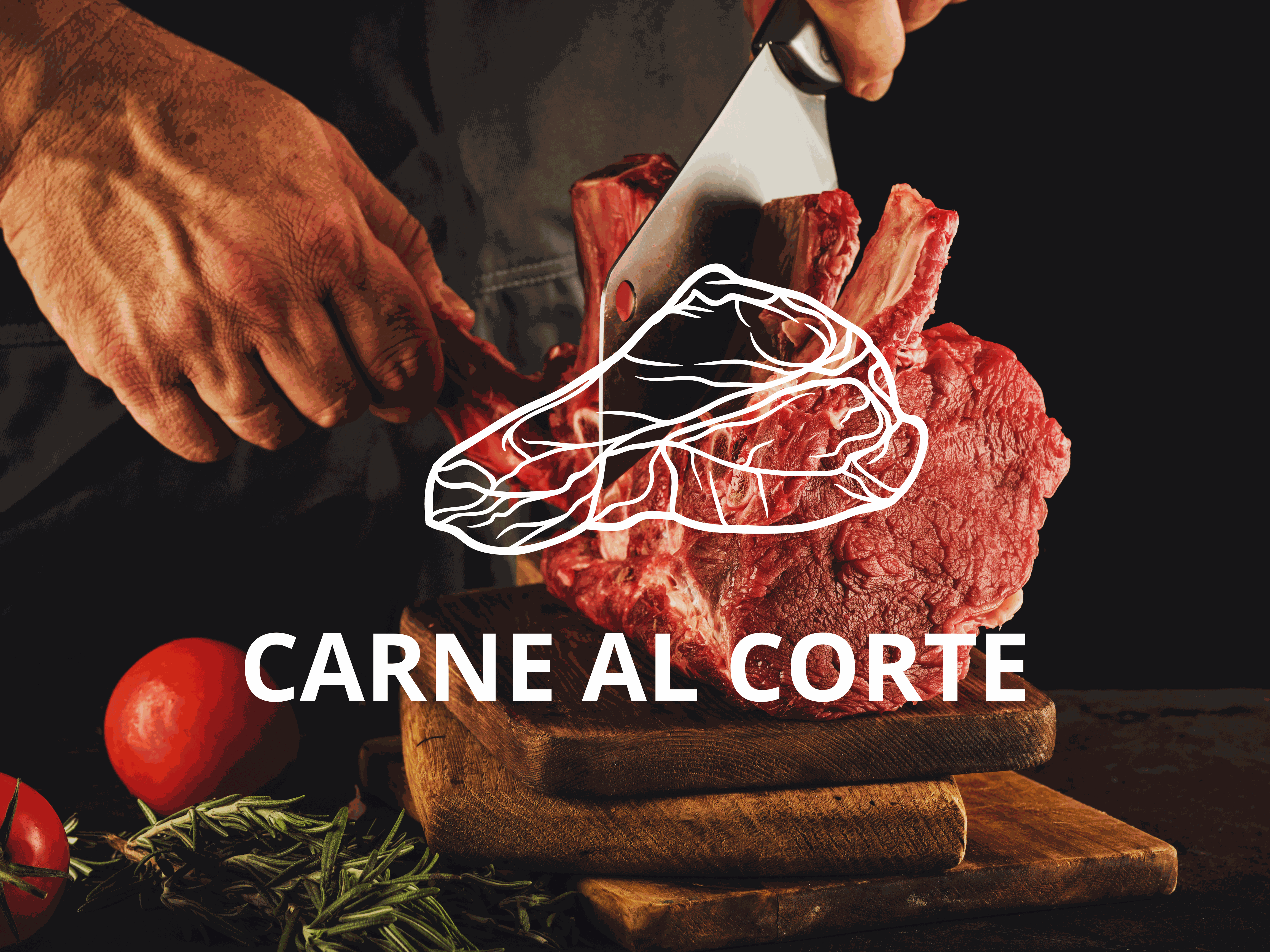 Odoo CMS - una imagen grande